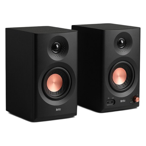 브리츠 블루투스 홈스튜디오 모니터 스피커, BR-Monitor5